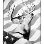 ​"American Pride: Red, Whitetail, and Blue".
 Giclee print. 11"x14". $70.00. Contact me for additional print size pricing. I can have this print drop shipped directly to you.